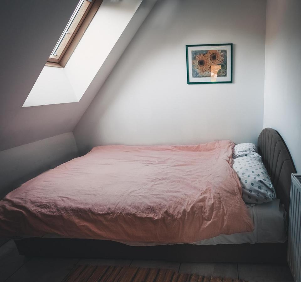 Apartma Soncek, On The Ski Slopes, Balcony, Private Parking Kranjska Gora Zewnętrze zdjęcie